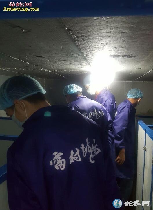 大王蛇养殖场建设图、大王蛇养殖场怎么建?
