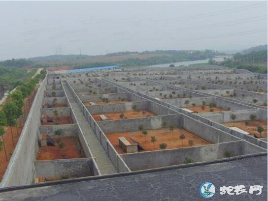 大王蛇养殖场建设图、大王蛇养殖场怎么建?