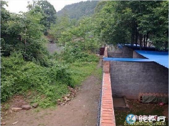 水律蛇简易养殖场建造、水律蛇养殖场建设需要注意什么?