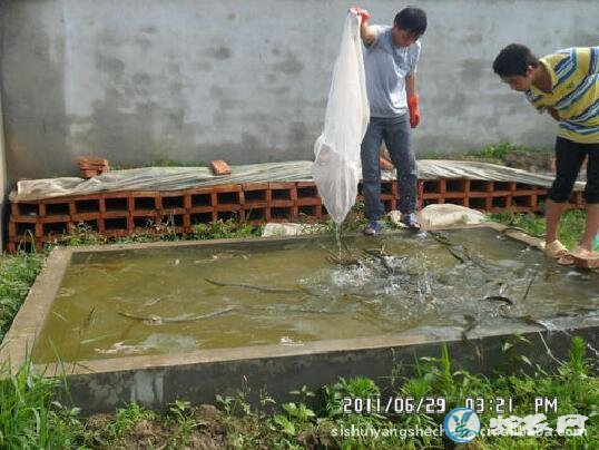 水律蛇简易养殖场建造、水律蛇养殖场建设需要注意什么?