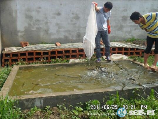 水律蛇简易养殖场建造、水律蛇养殖场建设需要注意什么？