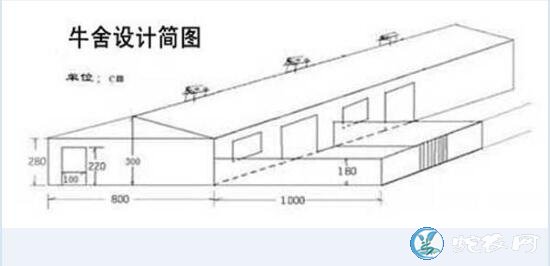 养牛场、养牛场建设规划设计方案