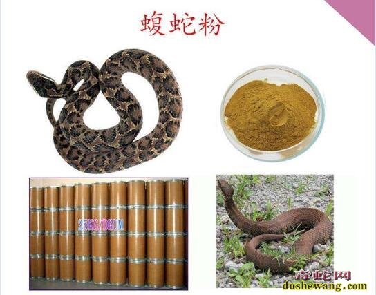 长期服用蝮蛇粉对人体有害吗?