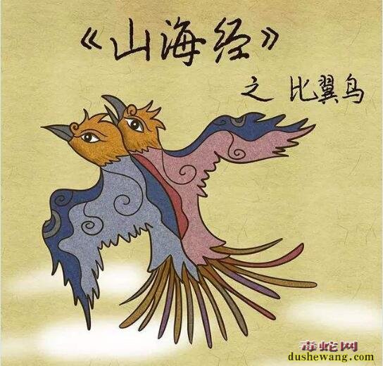 象征爱情的比翼鸟、比目鱼真相揭秘!盘点传说中的各种双头怪兽!