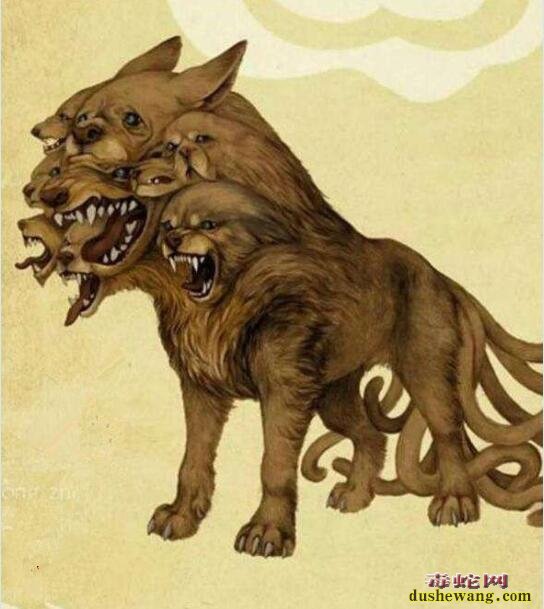 象征爱情的比翼鸟、比目鱼真相揭秘!盘点传说中的各种双头怪兽!