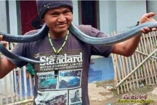 印尼一男子给宠物蛇洗澡被勒死！冷血动物我们要冷静看待！