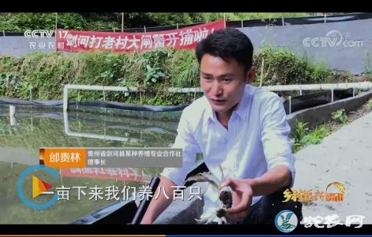 贵州黔东南大闸蟹捕捞忙!预计产量超过2.8万斤!