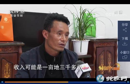 云南宁蒗小小马铃薯为百姓致富铺路!人均年收入达到5000元!