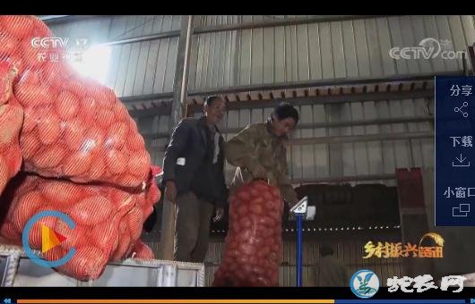 云南宁蒗小小马铃薯为百姓致富铺路!人均年收入达到5000元!