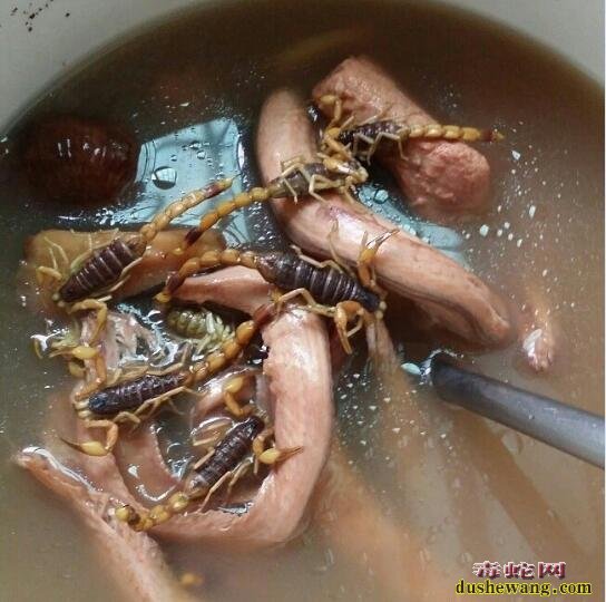 水蛇皮、水蛇皮的功效与作用?