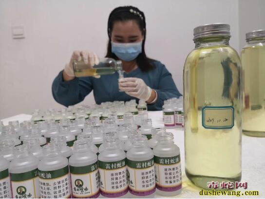 雷村蛇场告诉您:优质纯蛇油是怎么炼成的?