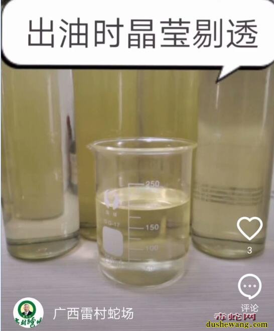 雷村蛇场纯蛇油出售30毫升/瓶