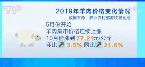 冬季羊肉消费季来临、涨价的羊肉销量如何呢?