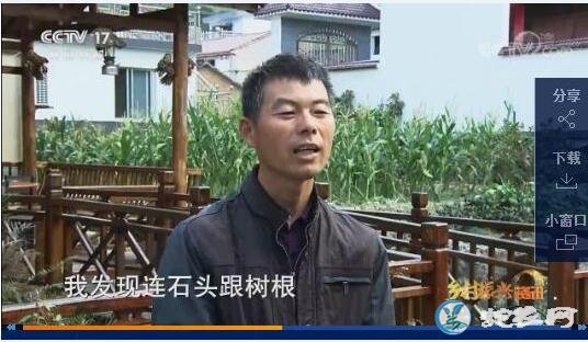 浙江淳安:艺术元素融入山乡小镇!民宿也加入艺术元素!