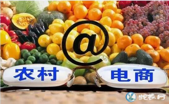 安徽六安推进农村电商优化升级!新增农村电商个体550+