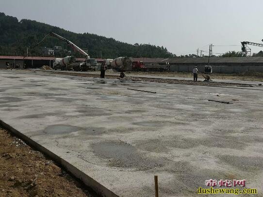 雷村蛇场黄老师到广西柳州基地指导工作