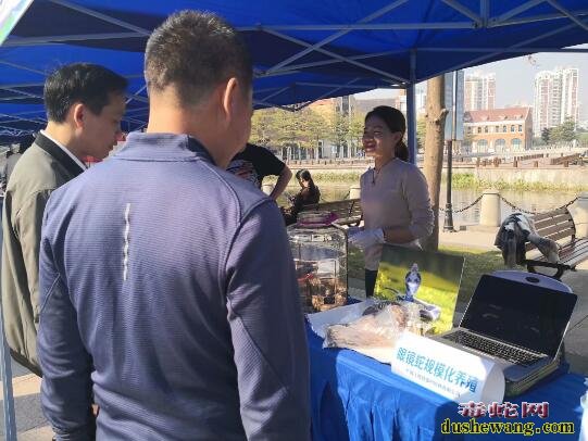 雷村蛇场上思基地参加首届农民工创业大赛剪影