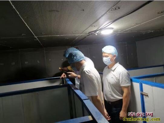 寻找养蛇场、哪里的养蛇场培训技术最好?