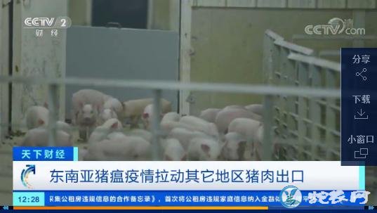 猪瘟疫情致东南亚多国猪肉供应短缺、美国公司从中受益!