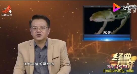 解密“禁地怪声”