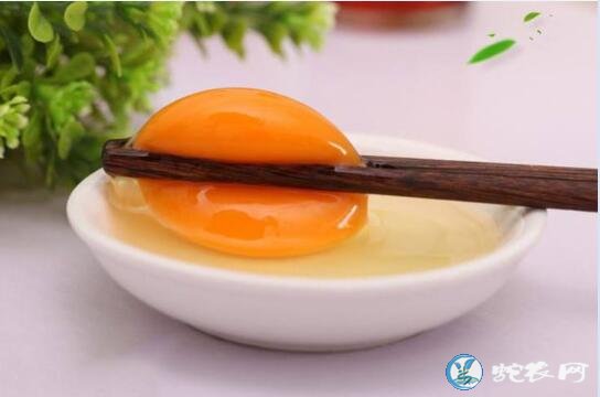 鸡蛋中再现禁用农药氟苯尼考是真的吗?吃了对身体有什么害处呢?