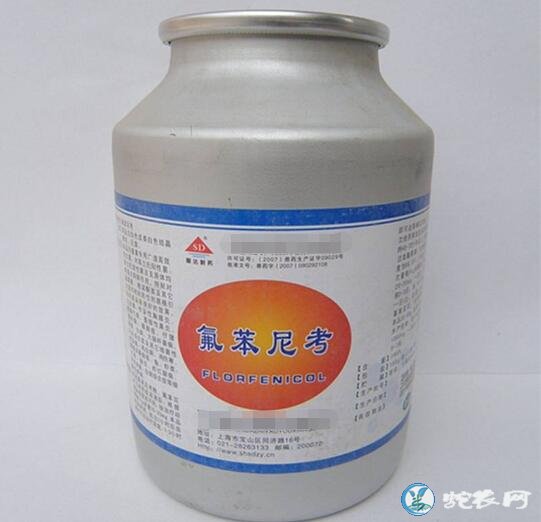 鸡蛋中再现禁用农药氟苯尼考是真的吗?吃了对身体有什么害处呢?