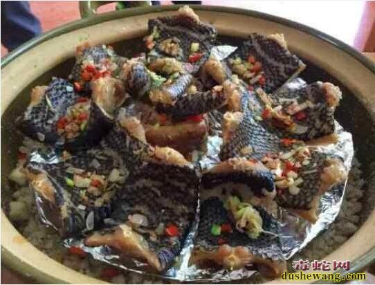 糖尿病患者可不可以吃蛇肉?糖尿病吃蛇肉有什么好处?