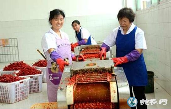 食品加工厂、2020年农村适合创办什么食品加工厂?