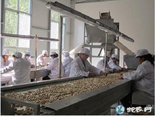 食品加工厂、2020年农村适合创办什么食品加工厂?
