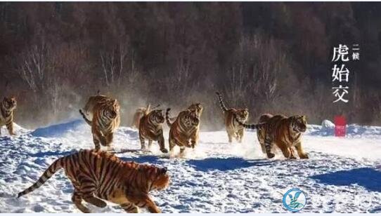 2019今年大雪节气是几月几日?有什么禁忌?