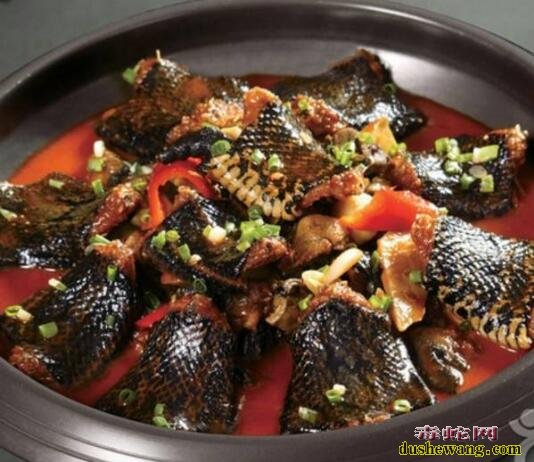 福建福州买王锦蛇区哪买?想吃蛇肉一般在什么地方买?