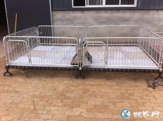 养猪场设备、如何选择钢铁丝猪床网来改善生猪养殖环境?