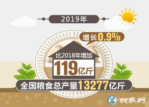 2019年全国粮食总产量13277亿斤！比往年的产量都要高！