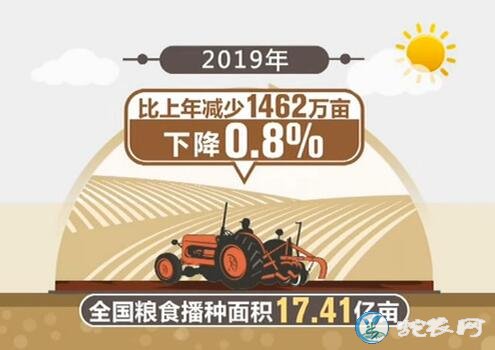 2019年全国粮食总产量13277亿斤!比往年的产量都要高!