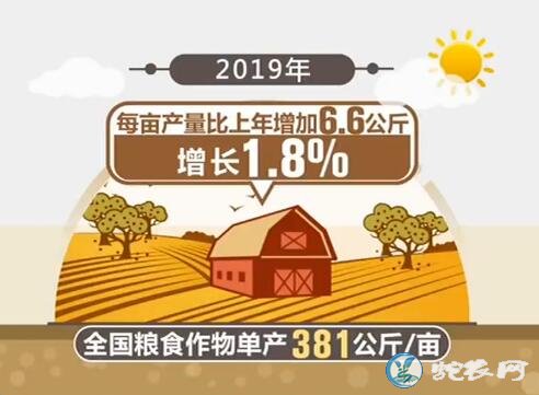 2019年全国粮食总产量13277亿斤!比往年的产量都要高!
