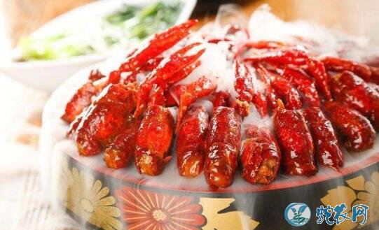 加盟小龙虾店、小龙虾店加盟哪个好?费用多少?