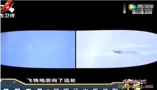 牂牁江水怪揭秘!牂牁江水怪究竟是什么生物