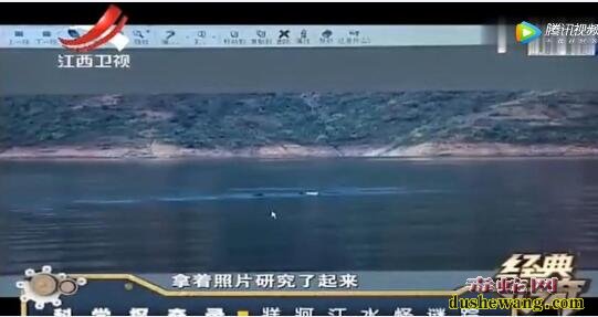 牂牁江水怪揭秘!牂牁江水怪究竟是什么生物