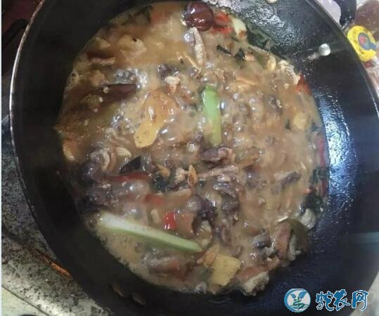 广东人最爱吃的野味果子狸!看看整个制作过程你可能不敢吃了!