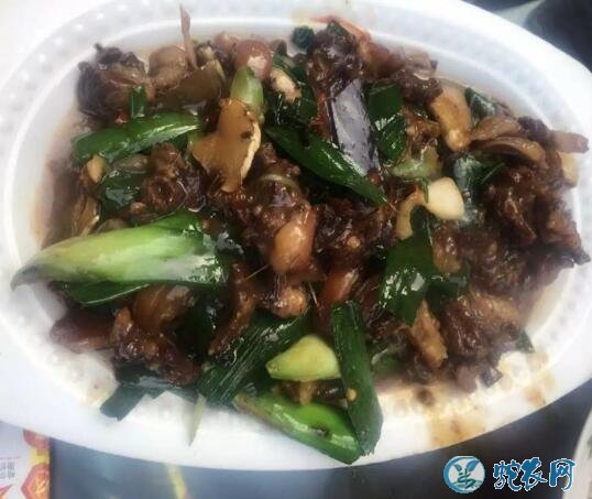 广东人最爱吃的野味果子狸!看看整个制作过程你可能不敢吃了!