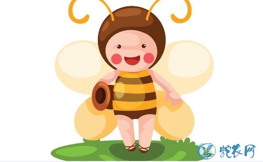 蜜蜂图片、各种蜜蜂图片大全欣赏