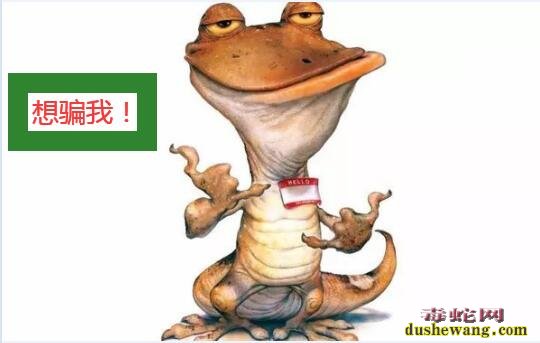 蟾蜍登月、蟾蜍登月的道理?蟾蜍养殖户不能学登月的蟾蜍!