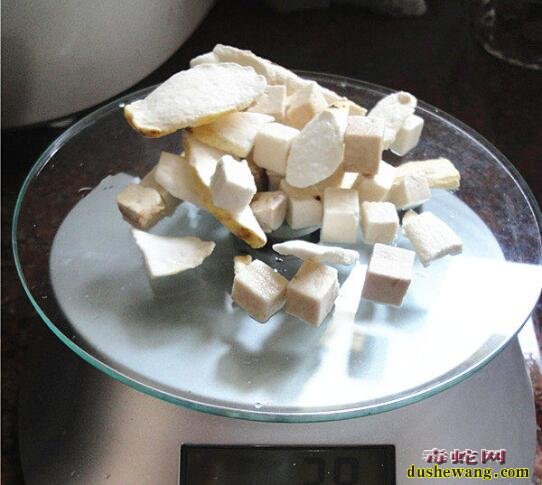蝎子怎么吃?蝎子山龟祛湿汤做法步骤!