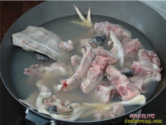 蝎子怎么吃?蝎子山龟祛湿汤做法步骤!
