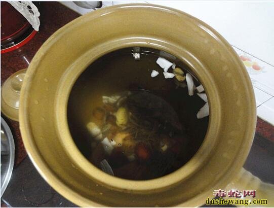 蝎子怎么吃？蝎子山龟祛湿汤做法步骤！