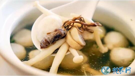 金蝉花怎么吃？金蝉花的功效及最佳食用方法！