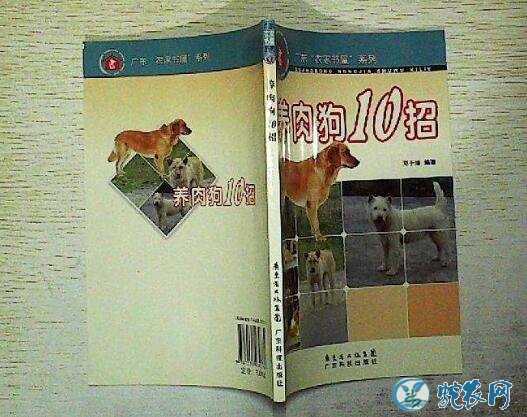 养肉狗10招、养肉狗10招书在哪里买?