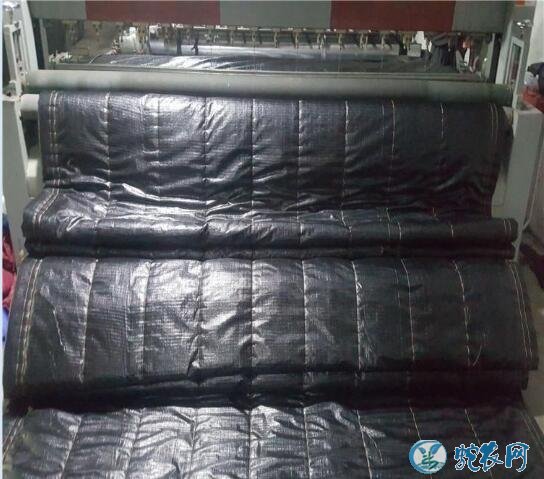 大棚保温被、大棚保温毛毡价格多少钱?