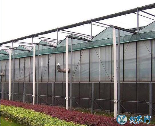 一亩大棚造价、2020年建造一亩蔬菜温室大棚要多少钱?