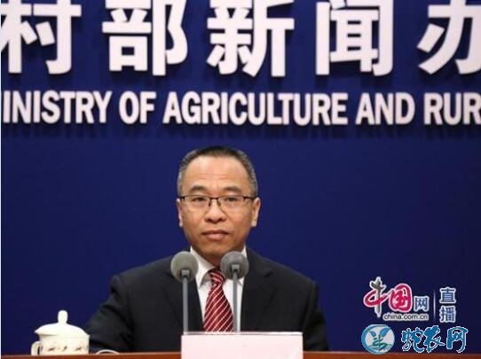 农业农村部出手严惩“炒猪团”，为了利益太无底线了！